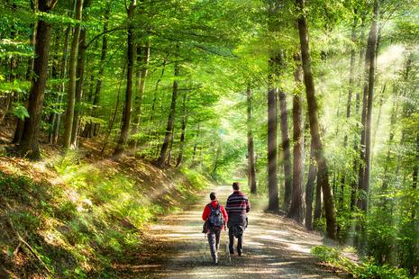 ein Paar macht einen Spaziergang im Wald